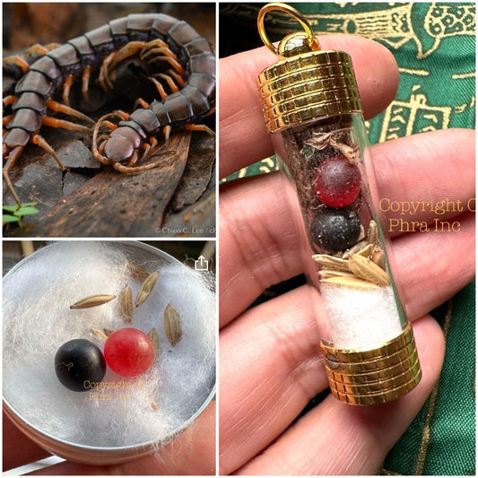 40. RARE Giant Centipede Pearl ( Geliga Maharaja Lipan ) 6.5-7mm EXTREMELY RARE