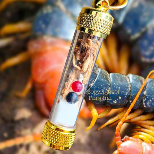 Powerful King Centipede Pearl Takrut for Money, Luck & Sixth Sense – Feng Shui Wealth Amulet