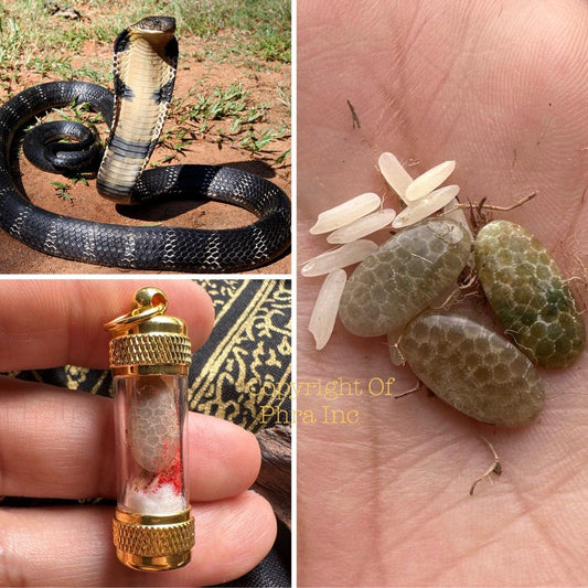 Cobra Pearl (NAGA MANI) - Amulet Takrut Khodam Spell Mustika Kuberan