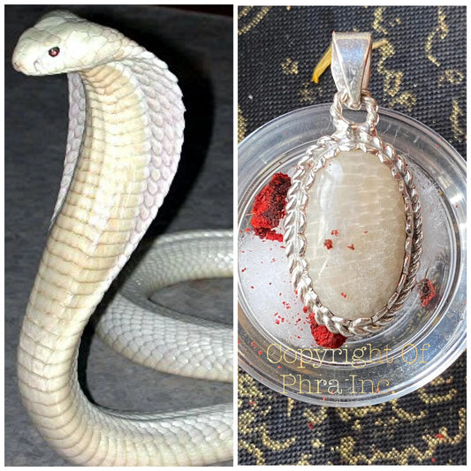 Rare White Cobra Pearl (Nagamani) - Authentic Cobra Snake Stone Pendant with King Centipede Pearl for Wealth Fetching,Luck & Gambling