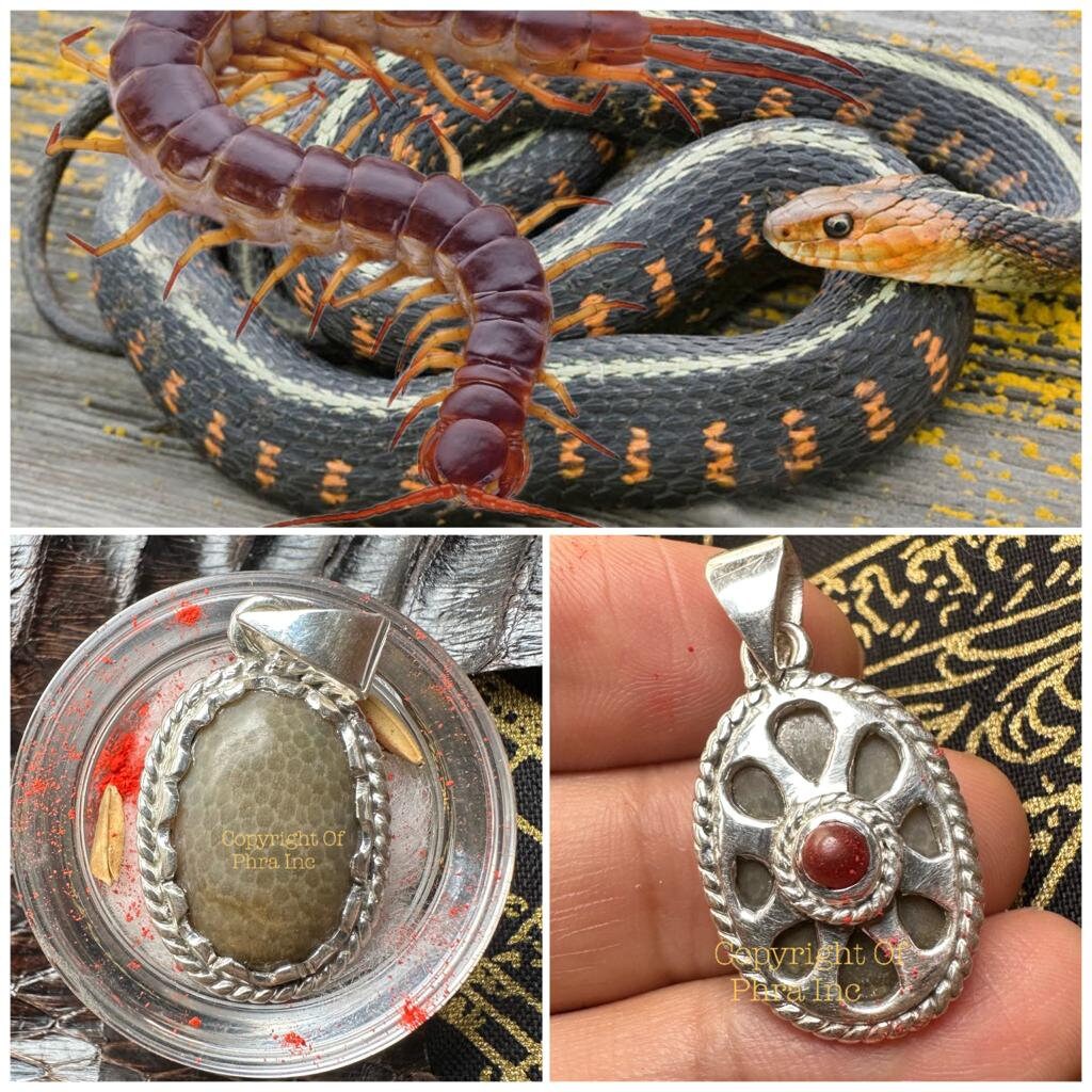 Nagamani Cobra Pearl Silver Pendant – Thai Amulet Charm