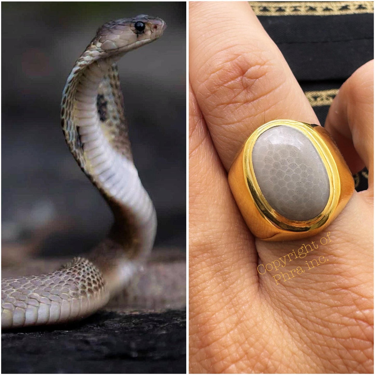 Rare Nagamani White Cobra Pearl Ring mystic Jewelry Gold Plated on Real Silver Mustika Pearl : Wealth Attraction, Gambling, Protection
