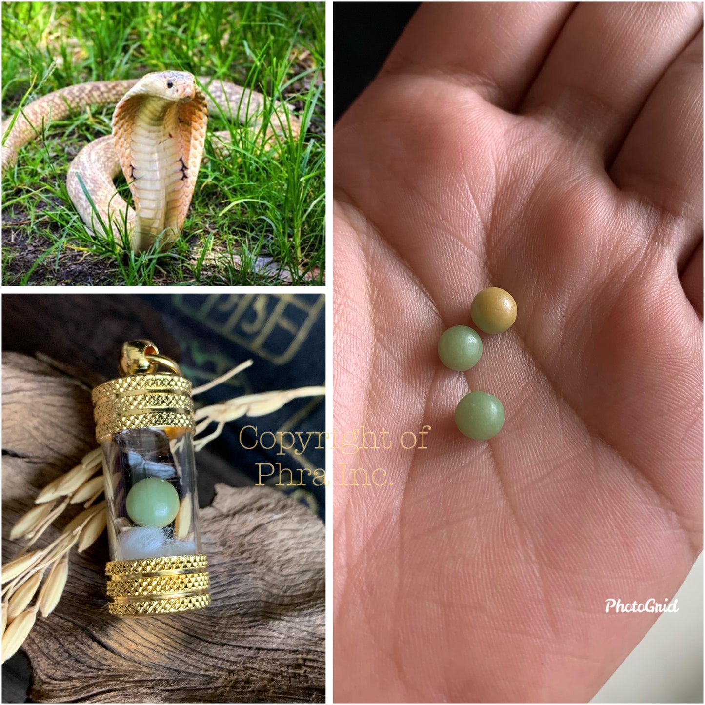 Rare Powerful Snake Pearl Green Round Nagamani Cobra Stone Amlet – Wealth, Windfall, Authority & Protection Mustika - Khodamic Talisman
