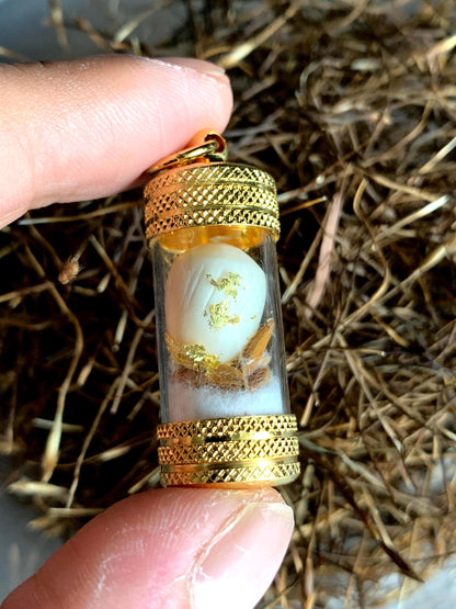 Coconut Pearl ring worn on hand