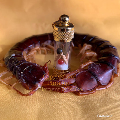 Red Centipede Pearl mustika bezoar, detail