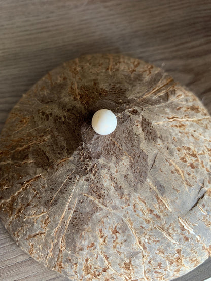 Natural surface texture of the Buntat Kelapa pearl
