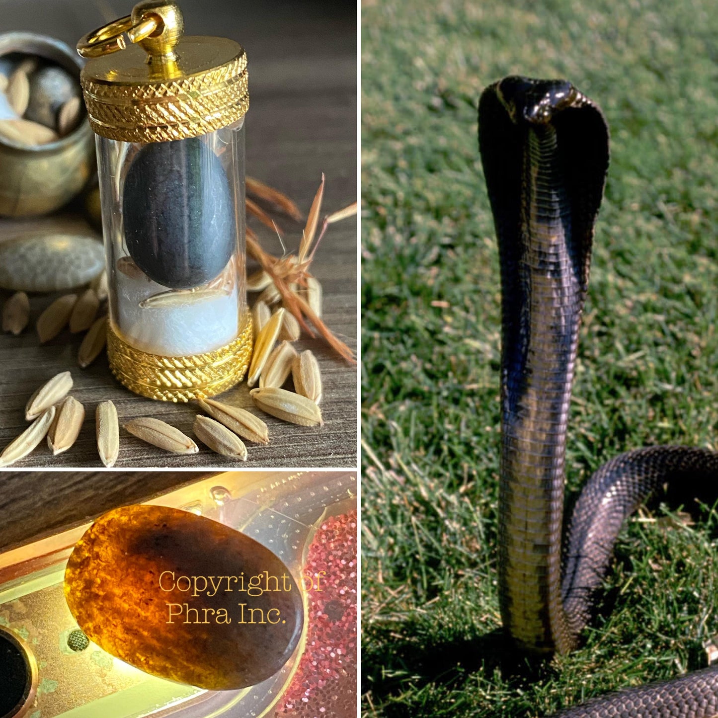 RARE Nagamani Black Cobra Pearl (Mustika Bezoar) King Cobra Genuine Naga Mani for Wealth, Fortune, Luck Attraction, Gambling, Amulet Khodam