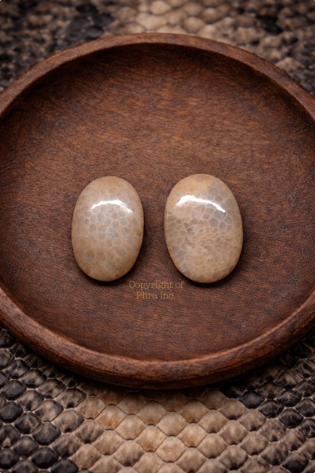 Rare White Cobra Stone Nagamani Mustika Pearl - Geliga Ular Tudong Mystical Cobra Gemstone Bezoar for Luck Attraction Fortune Fame Gambling
