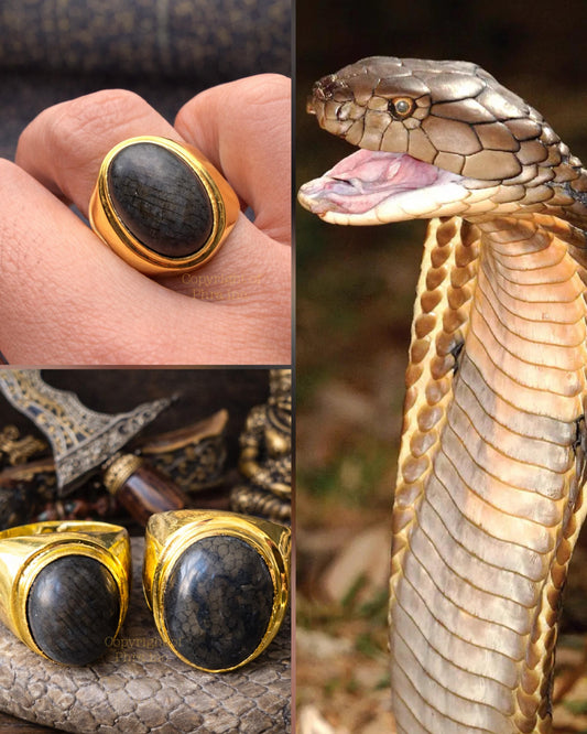 Powerful Wealth Luck Cobra Stone Ring | Mustika Amulet for Money, Luck, Gambling & Protection - Spiritual Gift, Talisman, Khodam