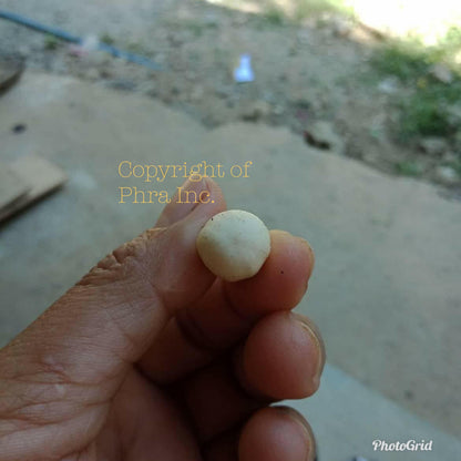 Female version Coconut Pearl ring, detail of setting