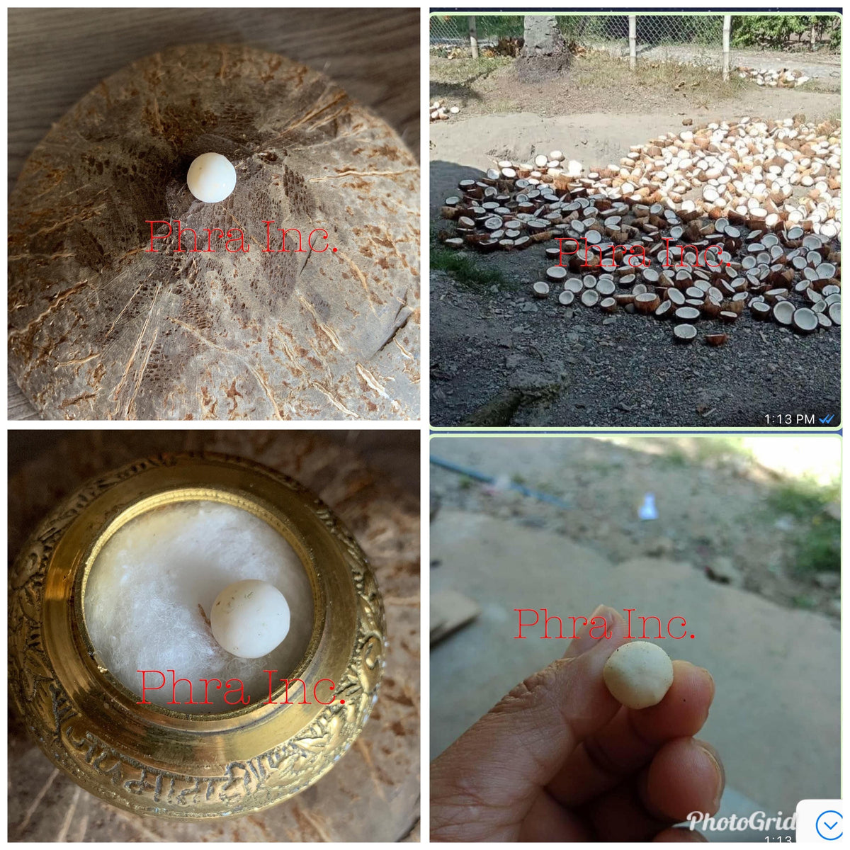 Coconut Pearl ring worn on hand