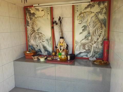 Datuk Panglima Harimau seated on a tiger with gold ingots
