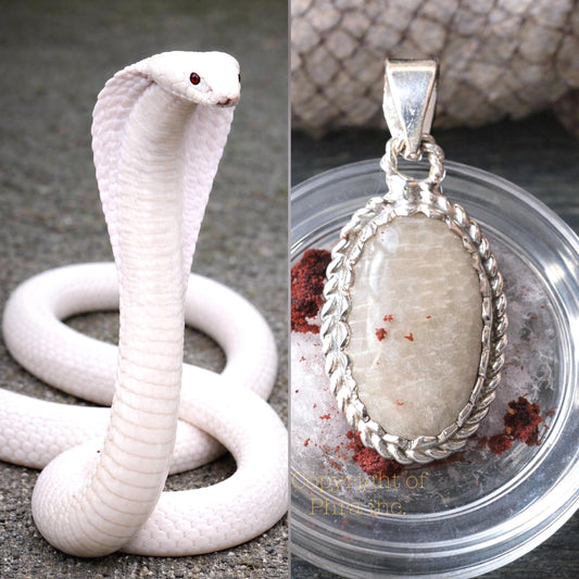 Powerful Nagamani Cobra Pearl & Centipede Pearl Amulet Pendant – Wealth, Luck, Authority and Protection Talisman