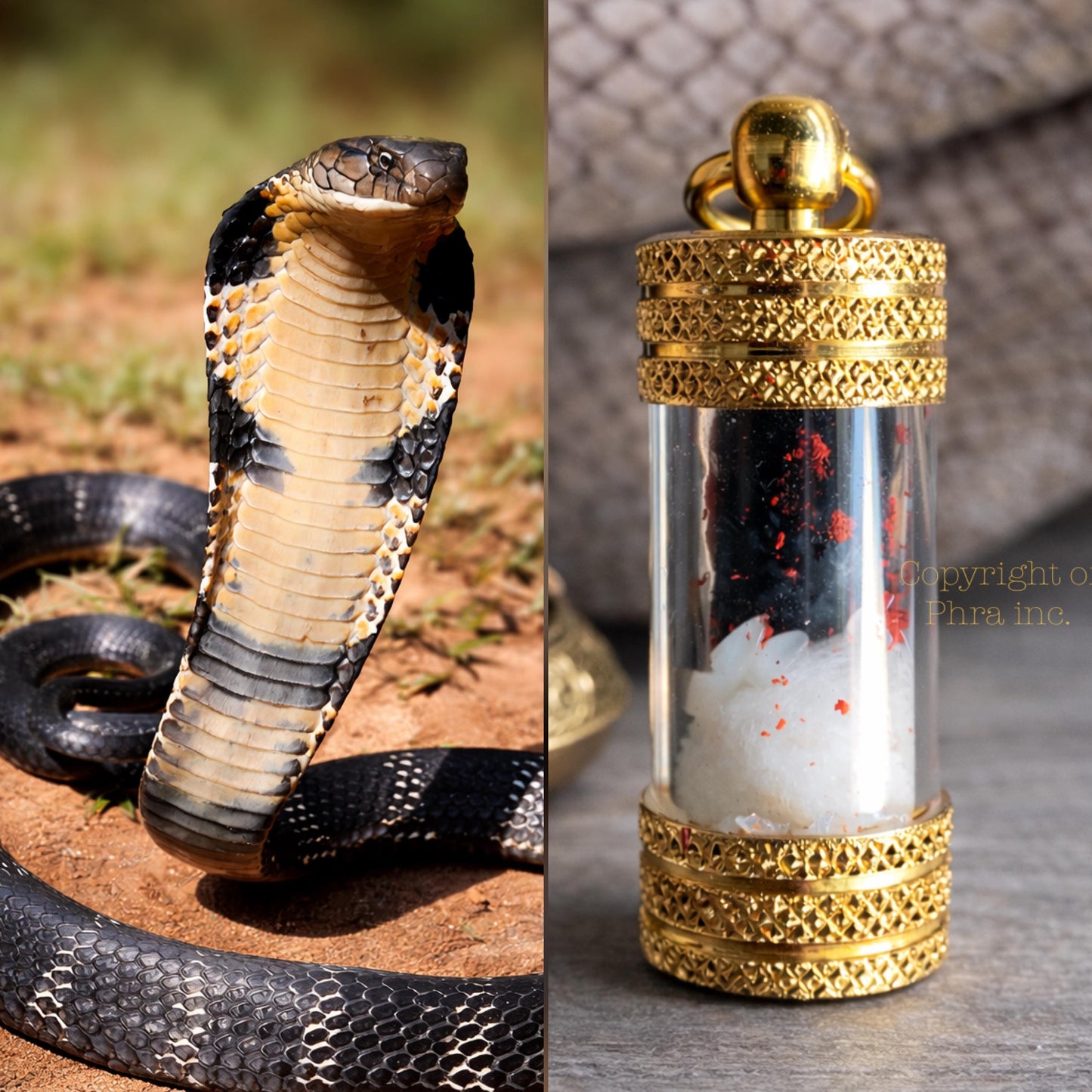 RARE Nagamani Black Cobra Pearl (Mustika Bezoar) King Cobra Genuine Naga Mani for Wealth, Fortune, Luck Attraction, Gambling, Amulet Khodam