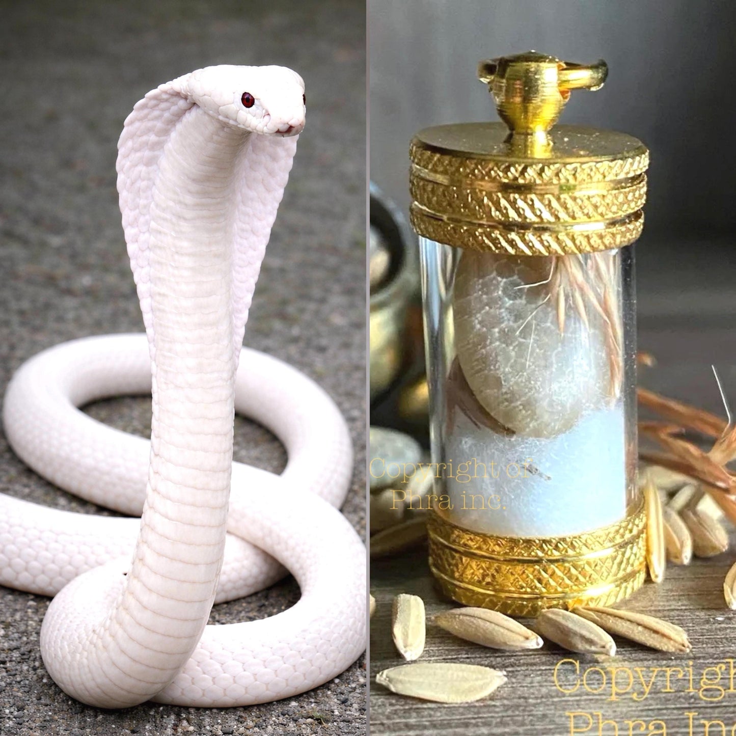 Rare White Cobra Stone Nagamani Mustika Pearl - Geliga Ular Tudong Mystical Cobra Gemstone Bezoar for Luck Attraction Fortune Fame Gambling