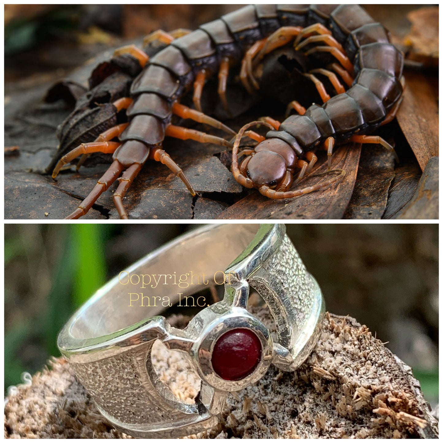 Gambling & Wealth Fetching King Centipede Mustika Pearl Ring - Real Silver Adjustable Size Unisex Ring - Magical Luck Charm Gemstone