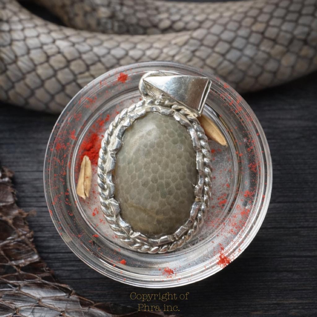 Authentic Nagamani Cobra Pearl Pendant – King Centipede, Silver, Wealth & Luck Charm