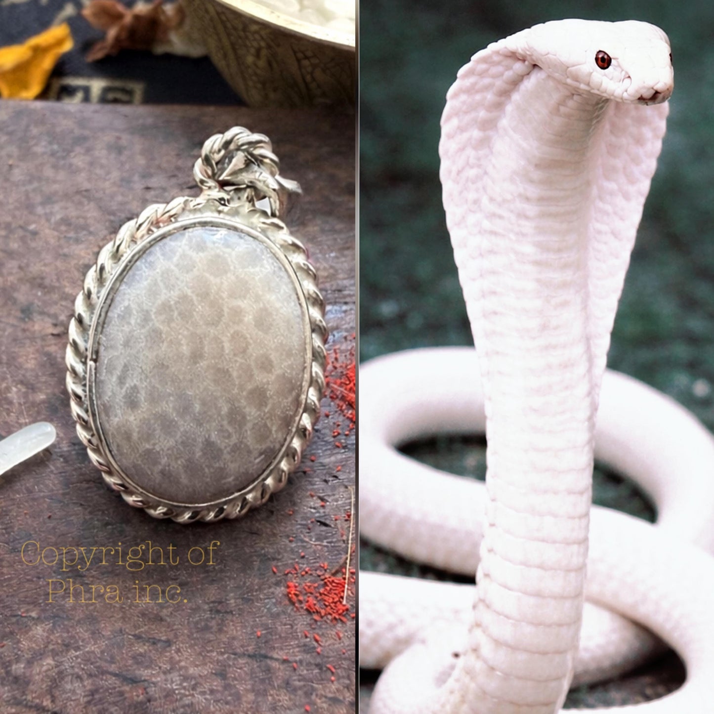 Powerful Nagamani Cobra Pearl & Centipede Pearl Amulet Pendant – Wealth, Luck, Authority and Protection Talisman