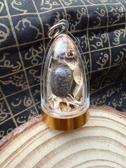 Nagamani serpent pearl amulet held in hand for size