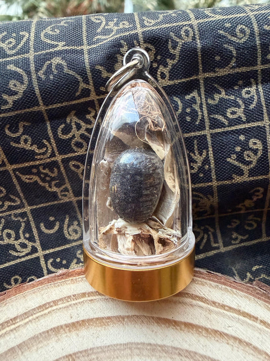 Nagamani king cobra crown bezoar amulet with cobra skin, front view