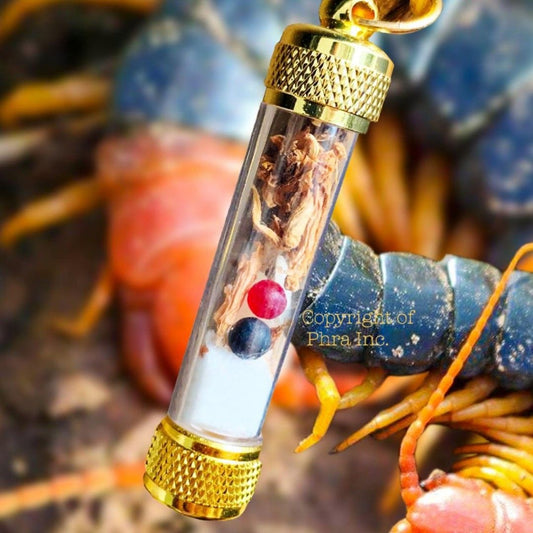 80. Powerful King Centipede Pearl Takrut for Money, Luck & Sixth Sense – Feng Shui Wealth Amulet